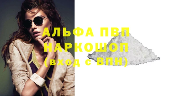 стафф Бородино