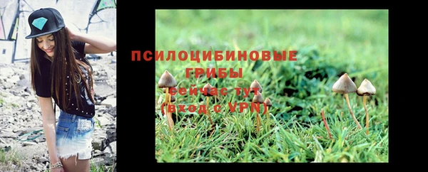 не бодяженный Бронницы