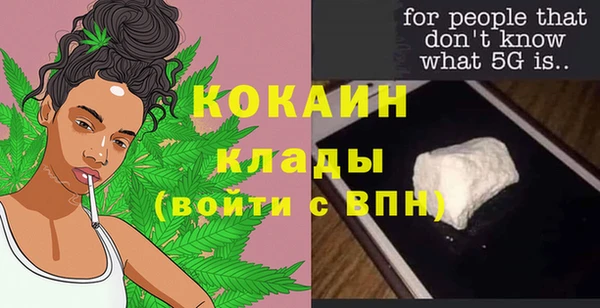 стафф Бородино