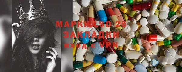 стафф Бородино