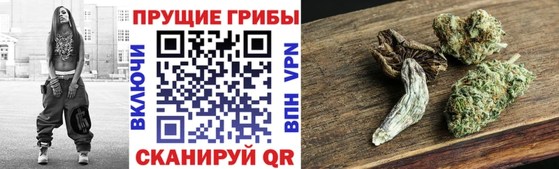 mega ONION  Медвежьегорск  Галлюциногенные грибы мухоморы 